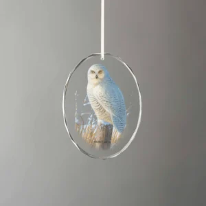 Down South Snowy Owl - Oval Glass Ornament