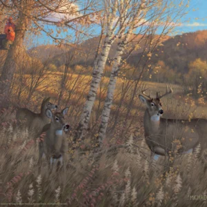 Zone 3 Youth Season Deer – 11″ x 14″ Art Print
