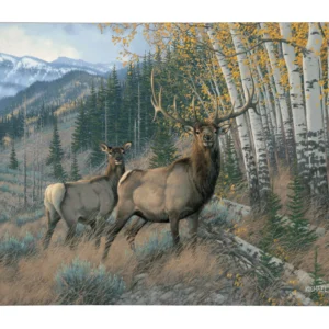 Eastern Slope - Elk - 13" x 18" Gallery Wrapped Canvas