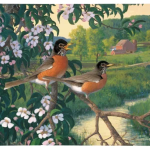 Apple Blossom Time Robins - 19" x 24" Gallery Wrapped Canvas