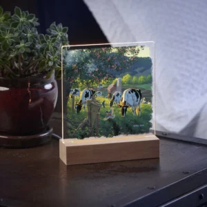 God's Country - Cows - Acrylic Night Light