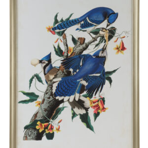 Audubon Blue Jay I - Brushed Gold Wood Frame with Glass – 51h x 35w x 1.25d