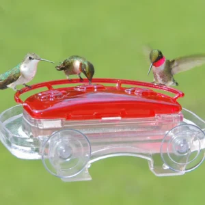 Aspects Jewel Box Window Hummingbird Feeder