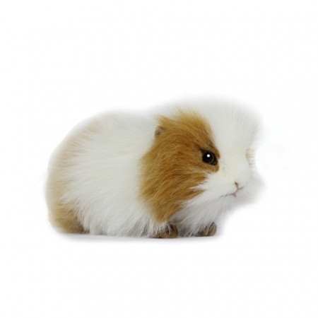 Hansa Guinea Pig Brown & White