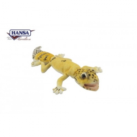 Hansa Carrottailed Gecko