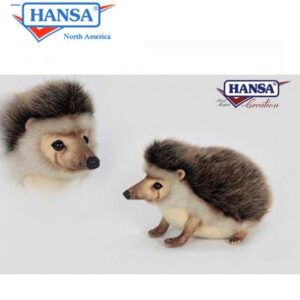 Hansa African Pygmy Hedgehog