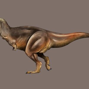 Tyrannosaurus Rex, Scientifically Accurate Greeting Cards (Pack of 10)