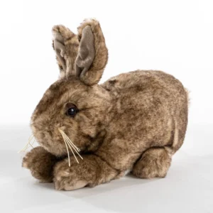 Ditz Designs Natural Brown Baby Bunny