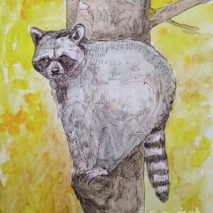 A Little Mischief - Raccoon Greeting Cards (Pack of 10)