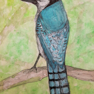 A Simpler Time - Watercolor Blue Jay 10.50″ x 14.00″ Art Print