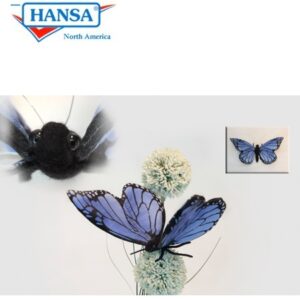 Hansa Blue Butterfly