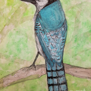 A Simpler Time - Watercolor Blue Jay Greeting Cards (Pack of 10)