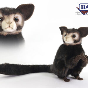 Hansa Aye Aye 8''