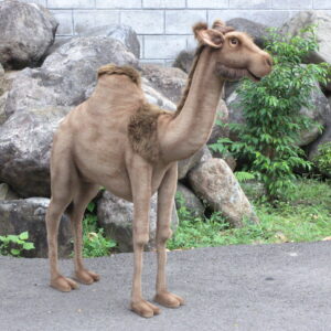 Hansa Andromeda Camel - Life Size Stuffed Animal