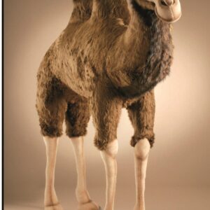 Hansa Bactrian Camel – Life Size Stuffed Animal Extra Large 70 "L x 66.3"H