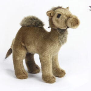Hansa Young Camel 9''