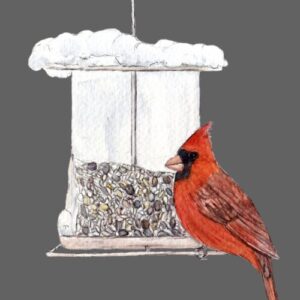 Winter Visitor Greeting Cards (Pack of 10)