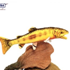 Hansa Golden Trout 14''L