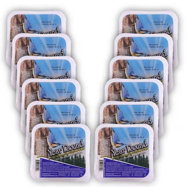 Pine Tree Year-Round Hi-Energy Suet Cake - Case of 12