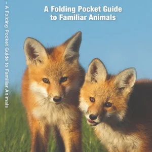 Minnesota Wildlife Pocket Guide