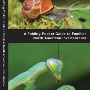 Bugs & Slugs Pocket Guide