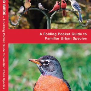 Eastern Backyard Birds Pocket Guide