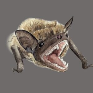 Little Brown Bat Greeting Cards (Pack of 10)