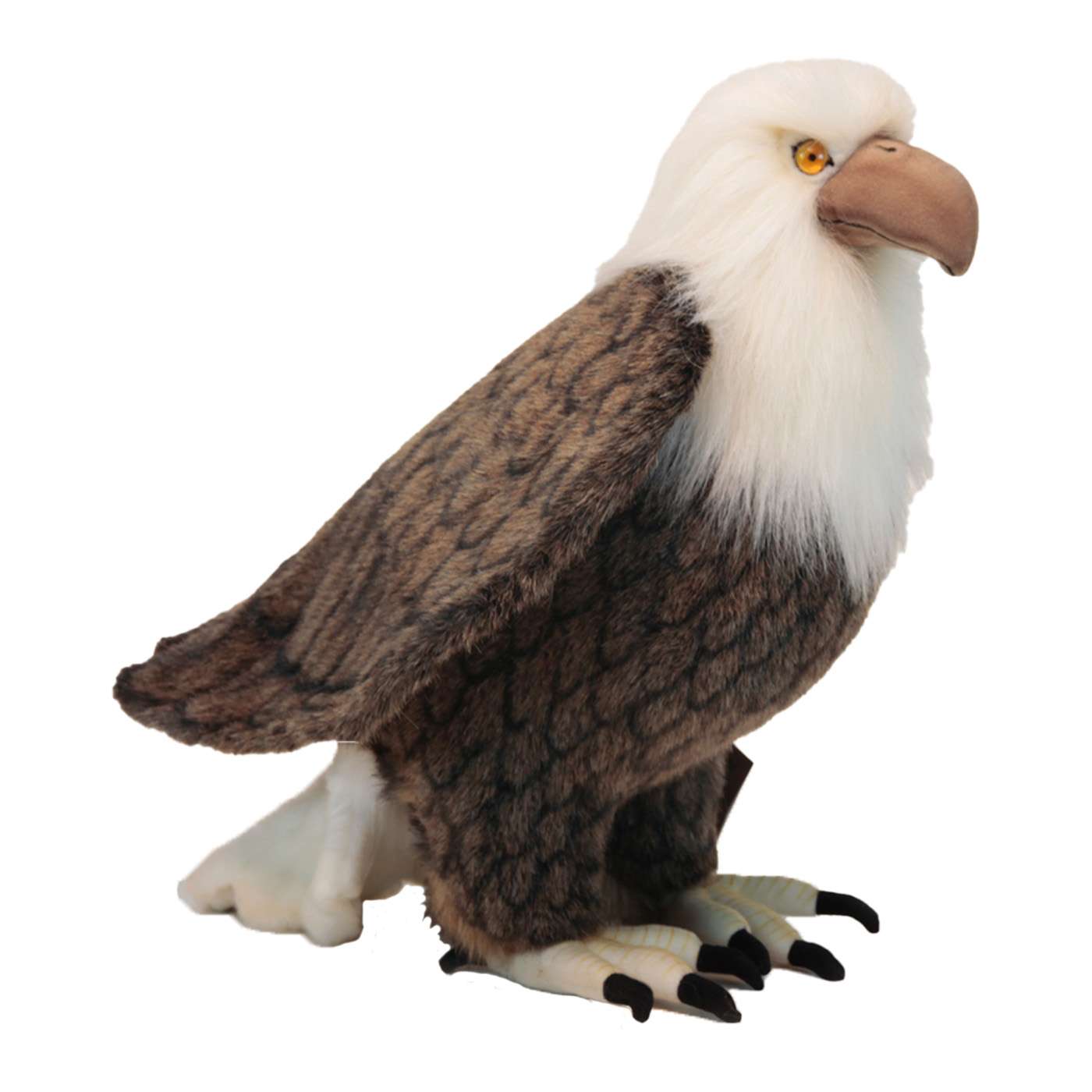 Hansa American Eagle