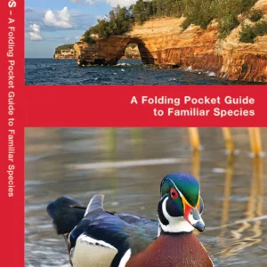 Great Lakes Birds Pocket Guide