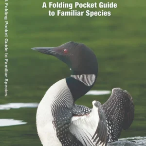 Minnesota Birds Pocket Guide