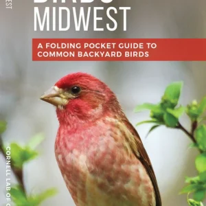 Feeder Birds Of The Midwest Pocket Guide