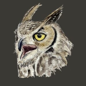 Great Horned Owl Greeting Cards (Pack of 10)