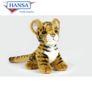Hansa Tiger Cub