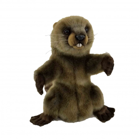 Hansa Beaver Puppet