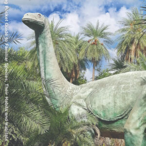 Dinosaurs Pocket Guide