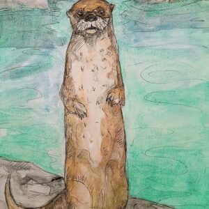Curious North American River Otter Greeting Cards (Pack of 10)