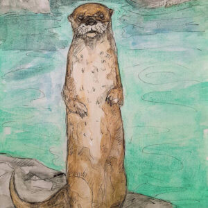 Curious North American River Otter Art Print (10.50″ x 14.00″)