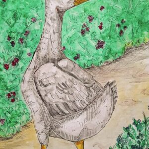 Farm Goose Greeting Cards (Pack of 10)