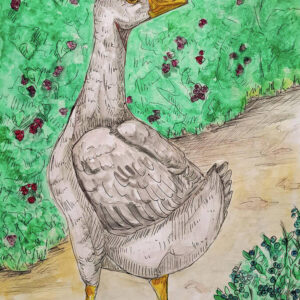 Farm Goose Art Print (10.50" x 14.00")