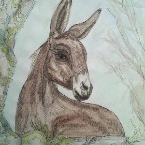 Country Donkey Greeting Cards (Pack of 10)