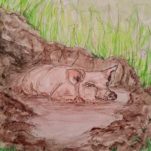Pig in the Mud Greeting Cards (Pack of 10)