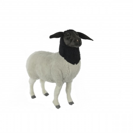 Hansa Sheep Suffolk Mama
