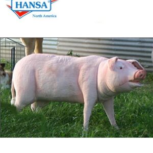 Hansa Pig Life Size Ride-On