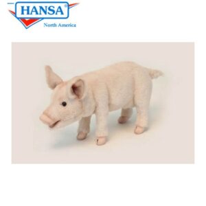 Hansa Piglet Standing