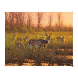 Chital Deer - 24" x 19" Gallery Wrapped Canvas