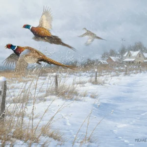 Snow Birds - Pheasants - 11″ x 14″ Art Print
