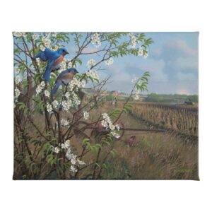 Springtime Blues - Bluebirds - 16" x 20.5" Gallery Wrapped Canvas