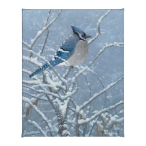 Blue Jay Study - 16" x 20.5" Gallery Wrapped Canvas
