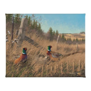 Shelterbelt - Pheasants - 16" x 20.5" Gallery Wrapped Canvas