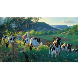 God's Country - Cows - 16" x 31" Gallery Wrapped Canvas